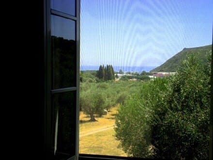 Uliveto - Image 38