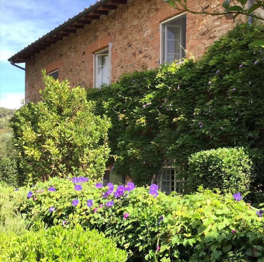 Uliveto - Image 10
