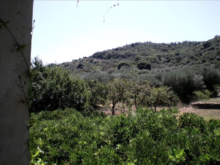 Uliveto - Image 30