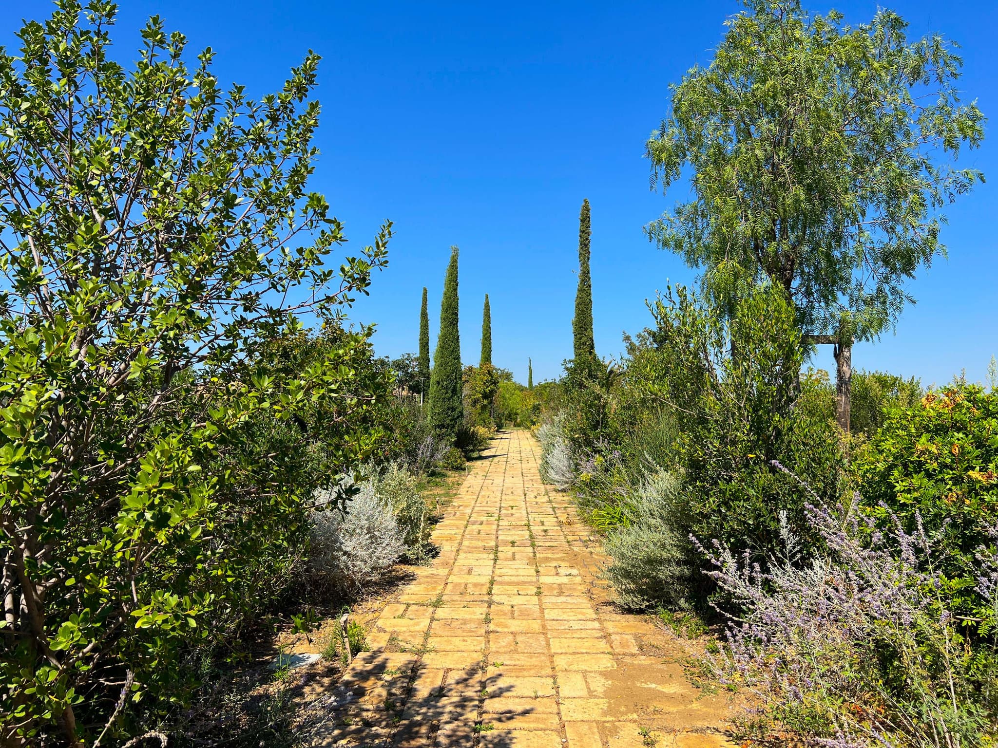 Maniero in Maremma - Image 64