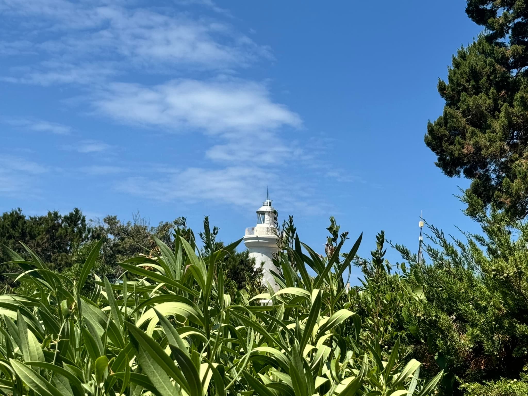 Nido di San Felice - Image 15