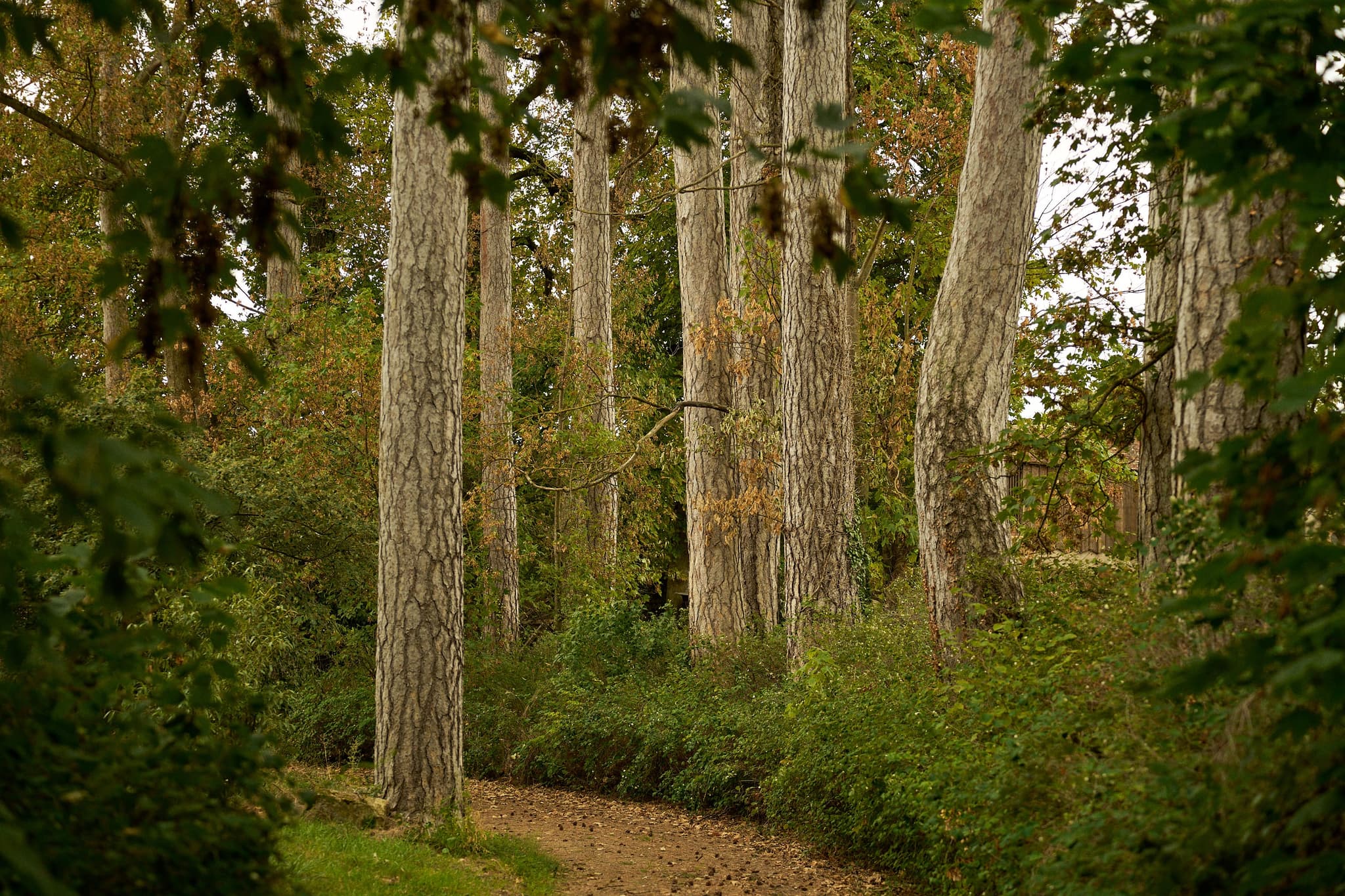 Château de Thauvenay - Image 18