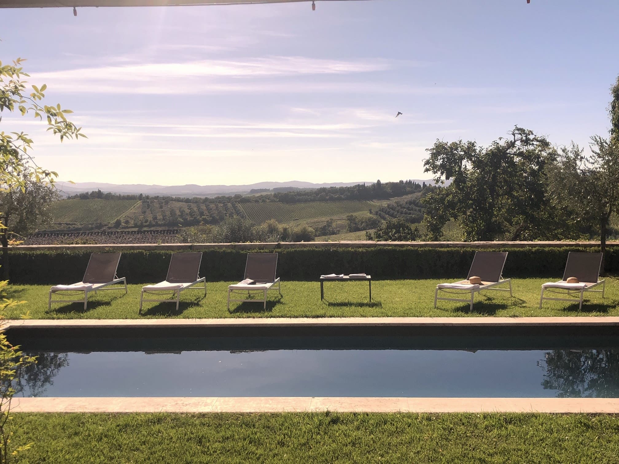 Chianti Classico - Image 6