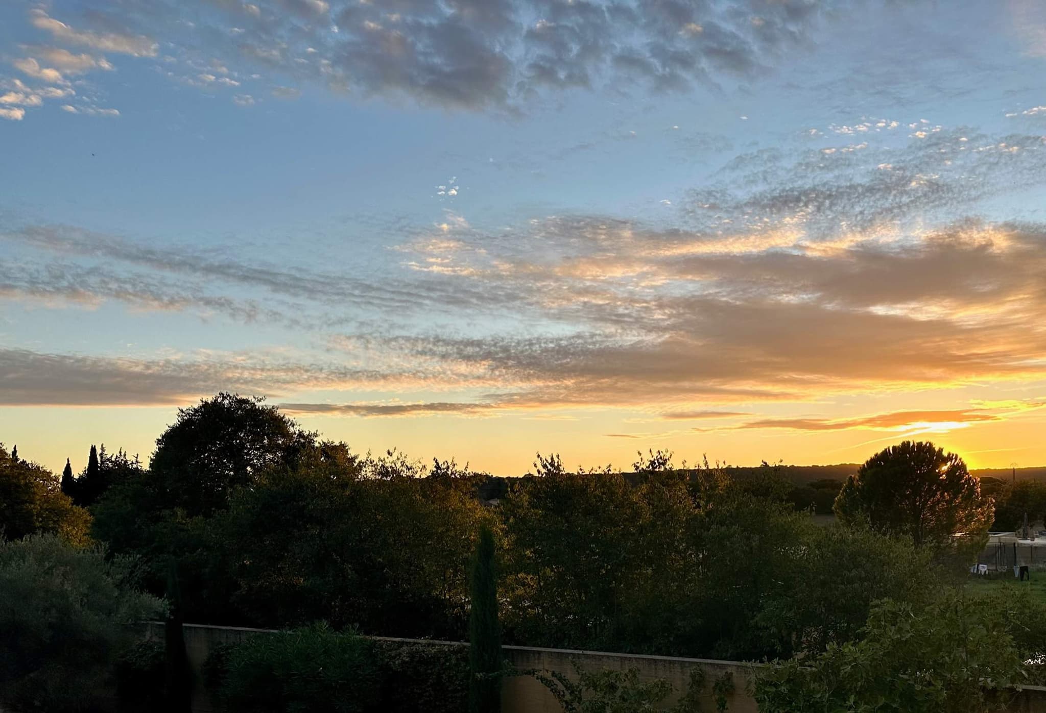 L' Olivette - Image 16