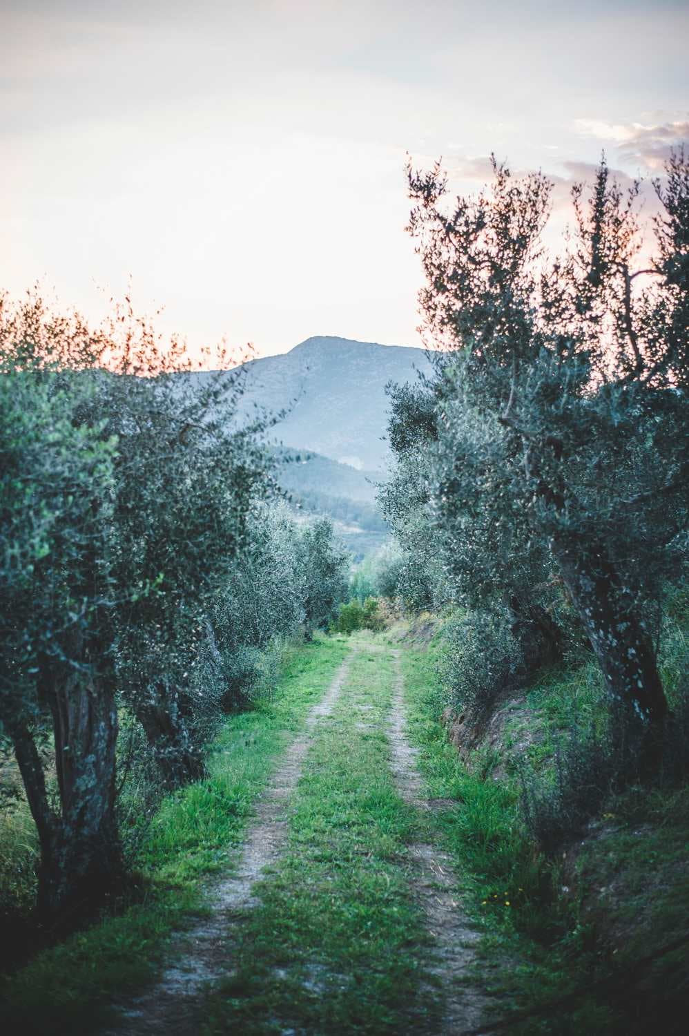 Villa Michaela - Image 102