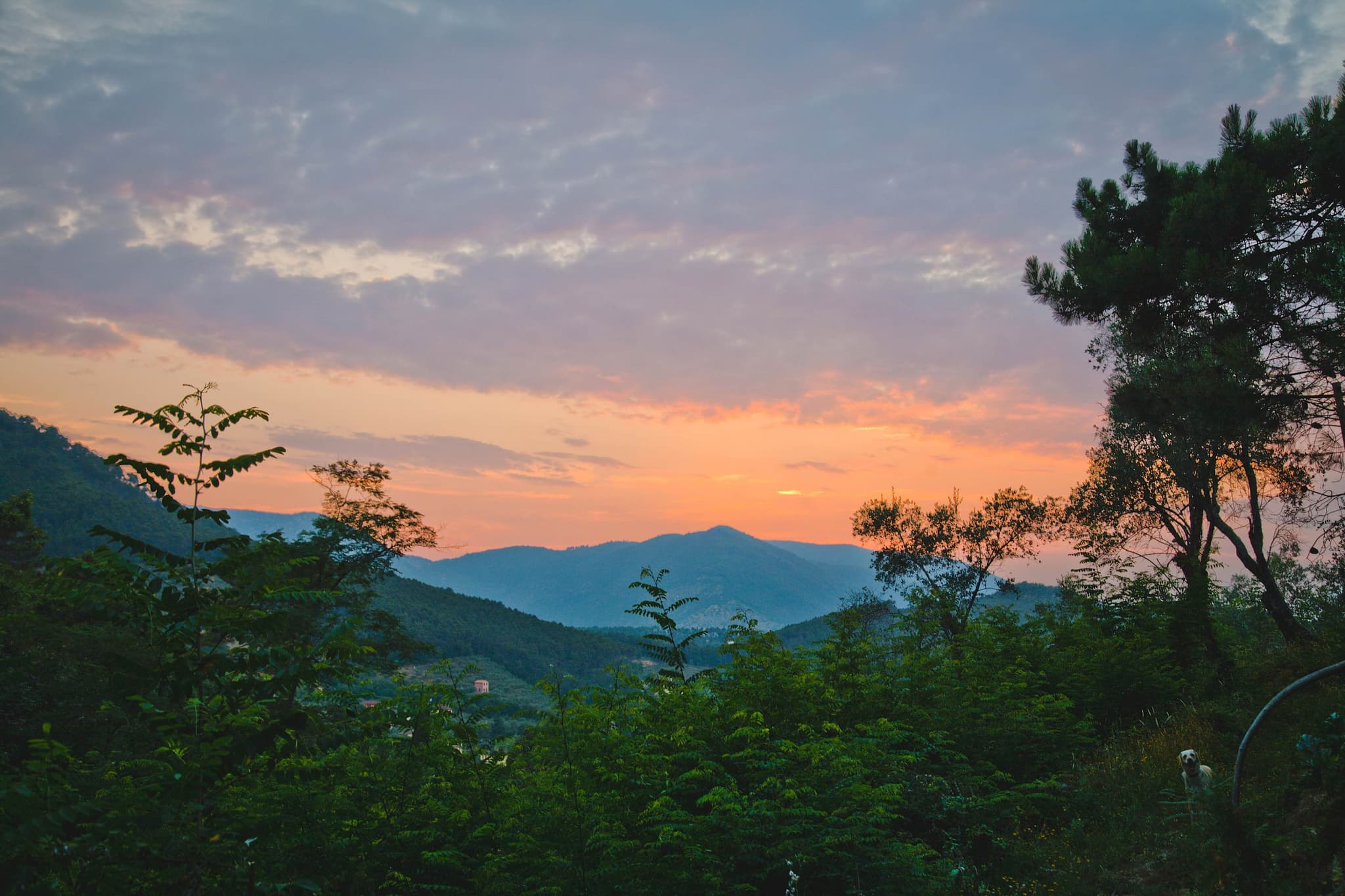 Villa Michaela - Image 101