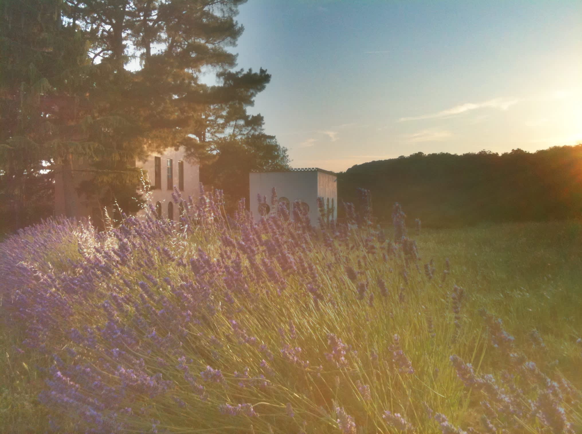 Torre del Falco - Image 53