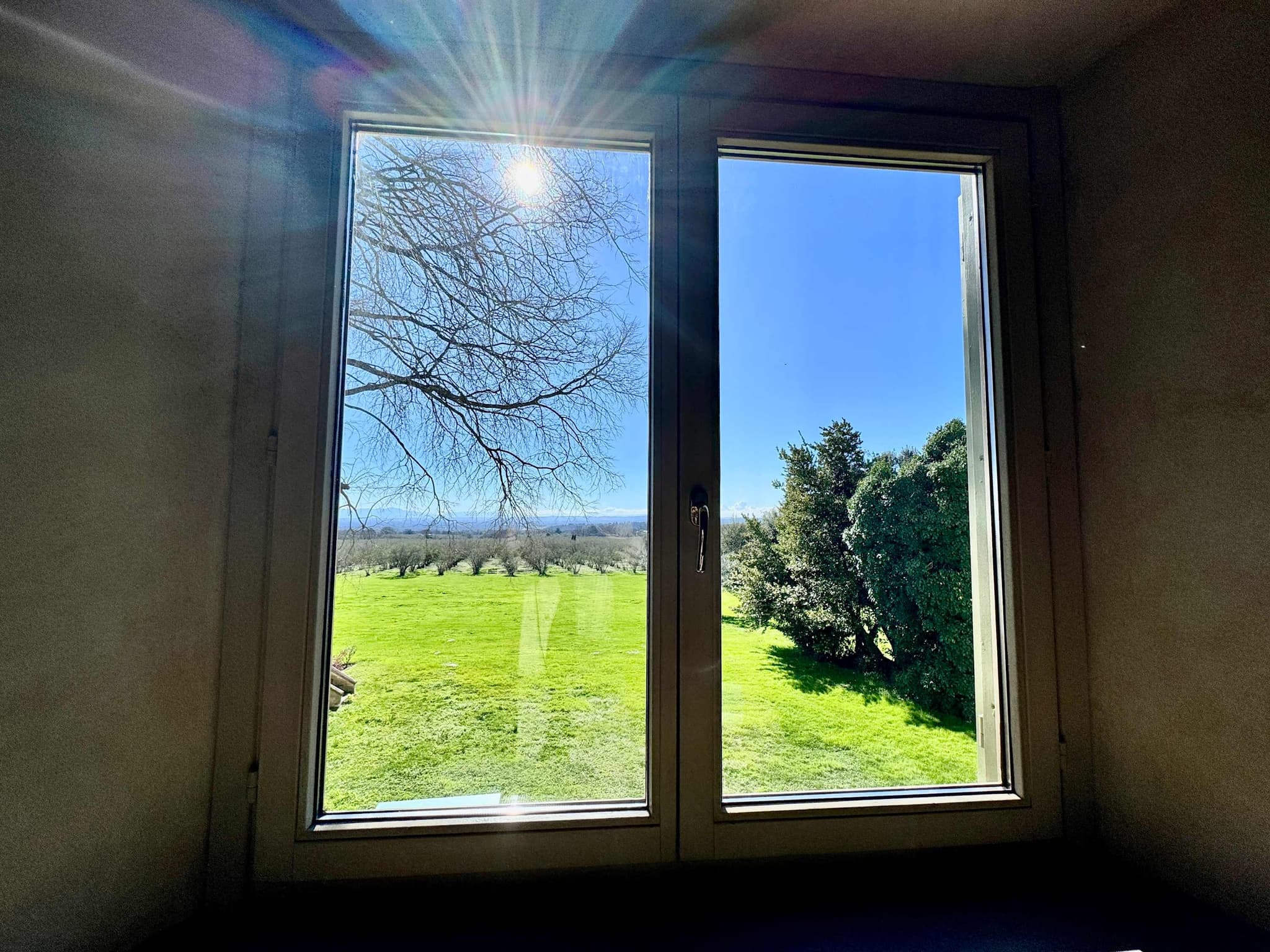 Estate of Joy - Image 9