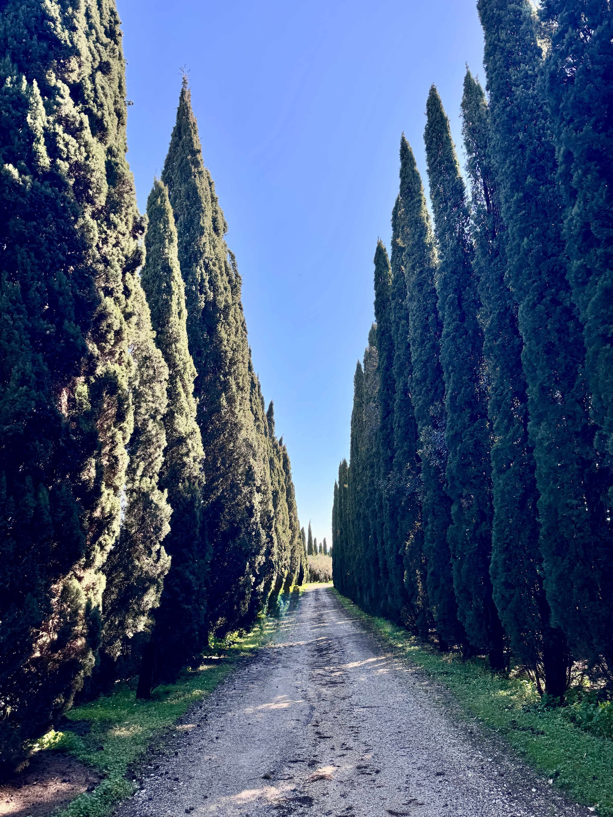 Estate of Joy - Image 27