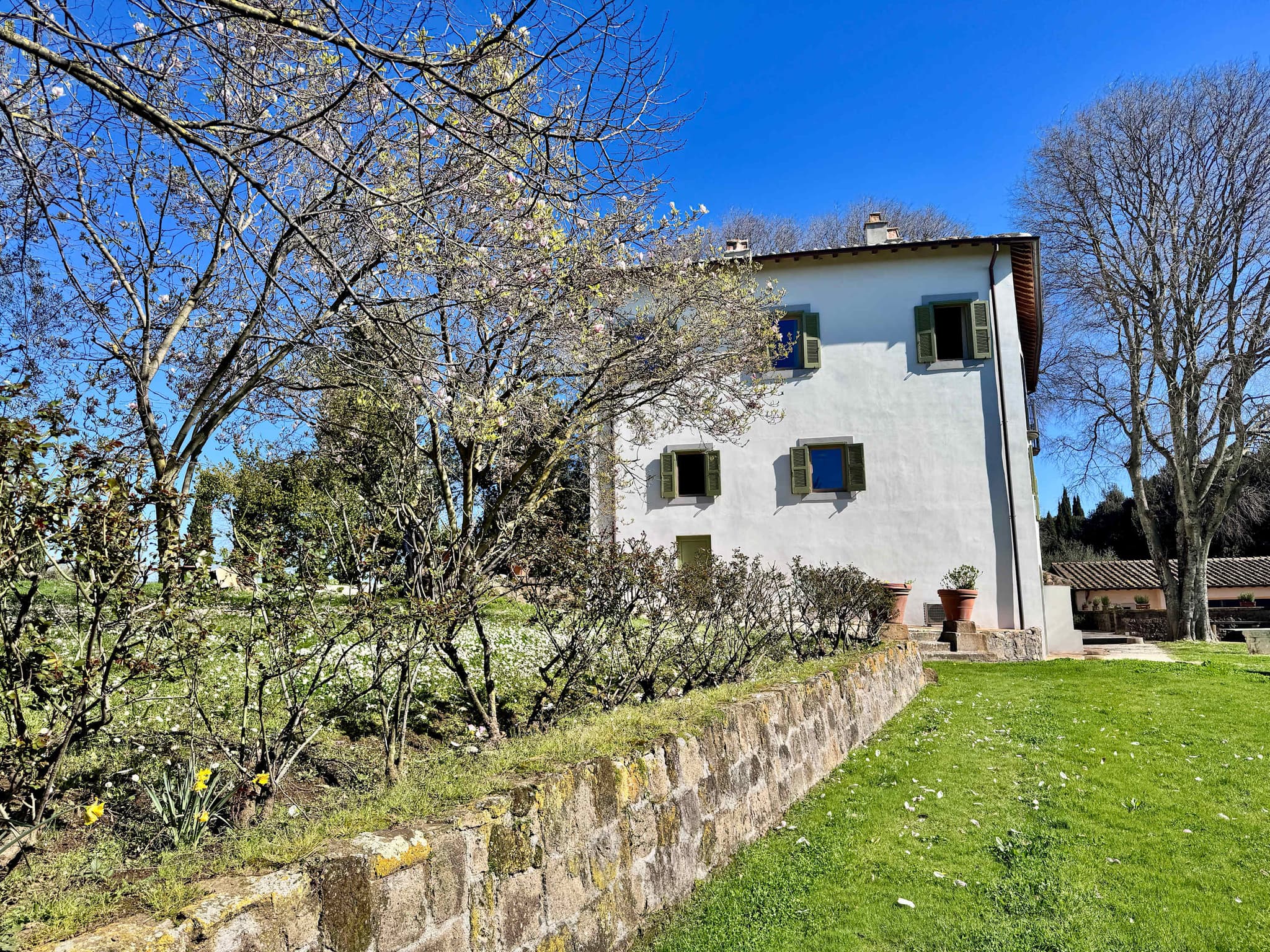 Estate of Joy - Image 34