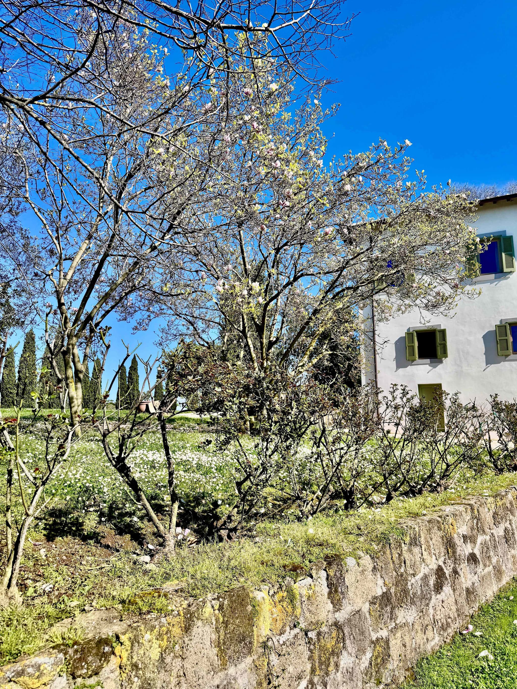 Estate of Joy - Image 35