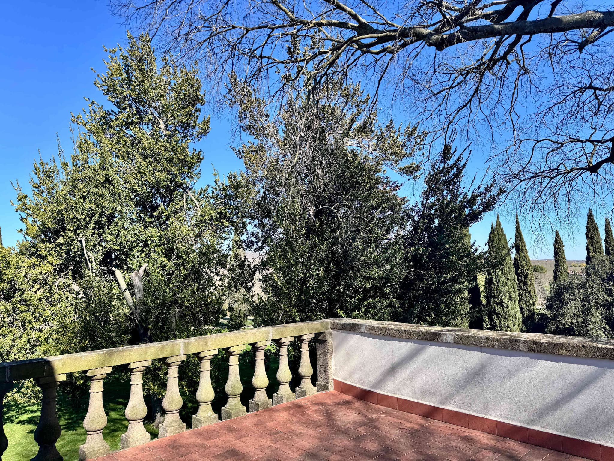 Estate of Joy - Image 41