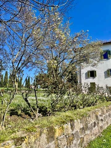 Estate of Joy - Image 59