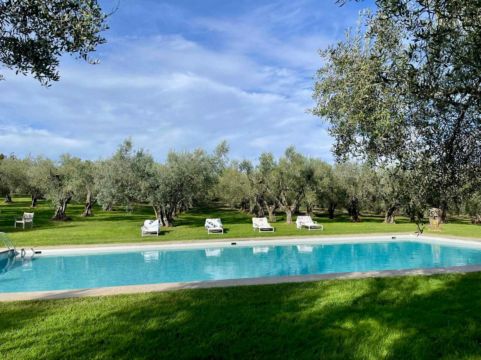 Estate of Joy - Image 65