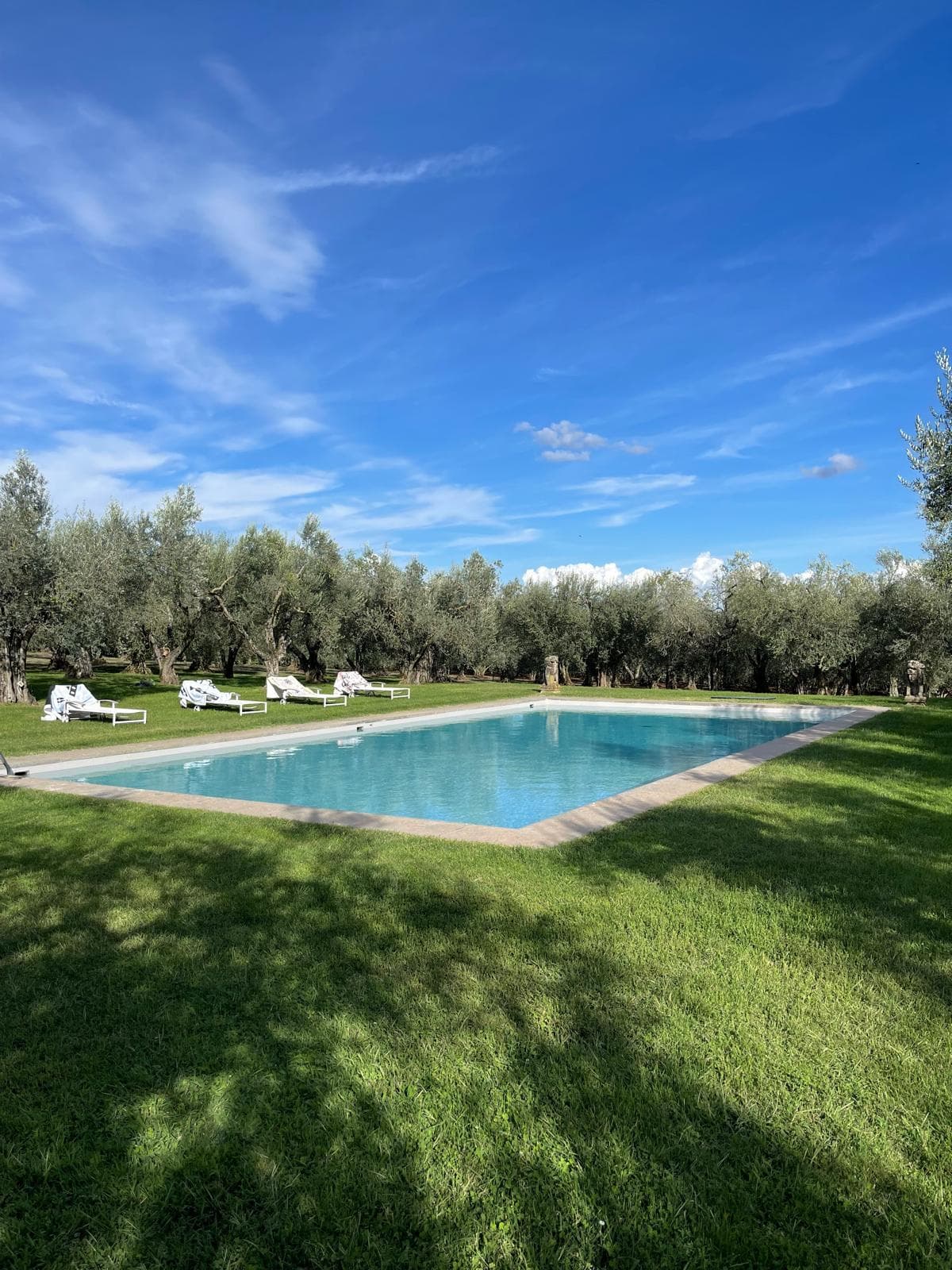 Estate of Joy - Image 74