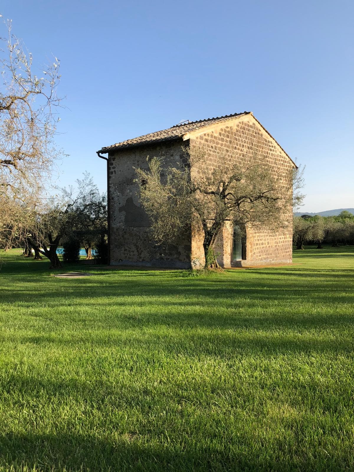 Estate of Joy - Image 75