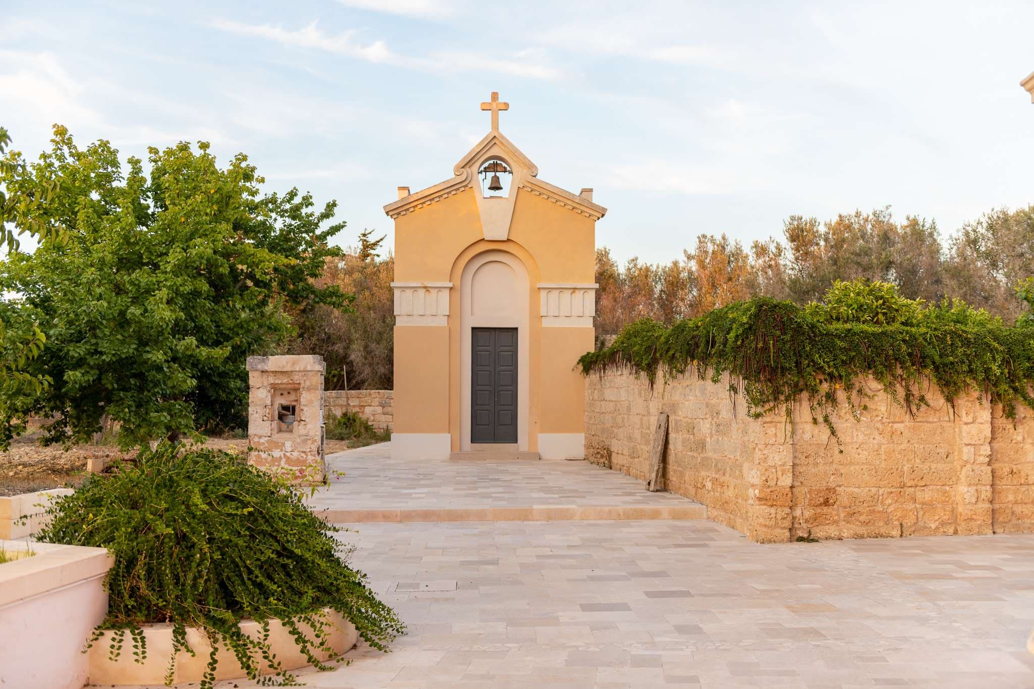 Oasi Verde - Image 7