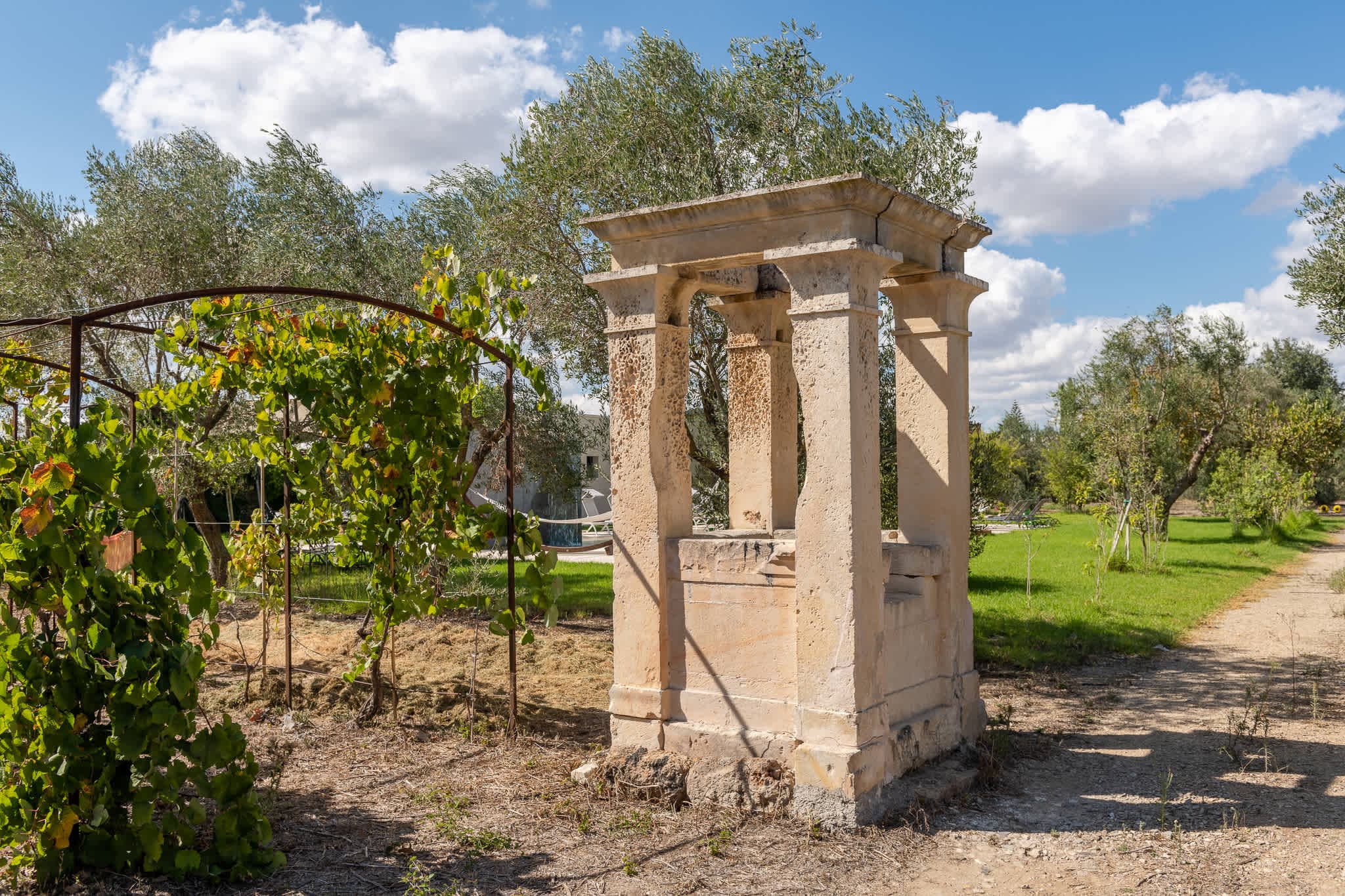 Oasi Verde - Image 15