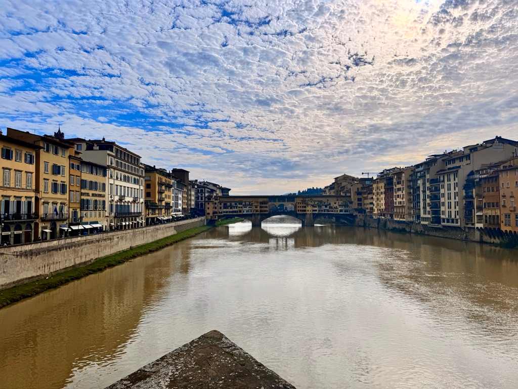 Florence Favorite - Image 36