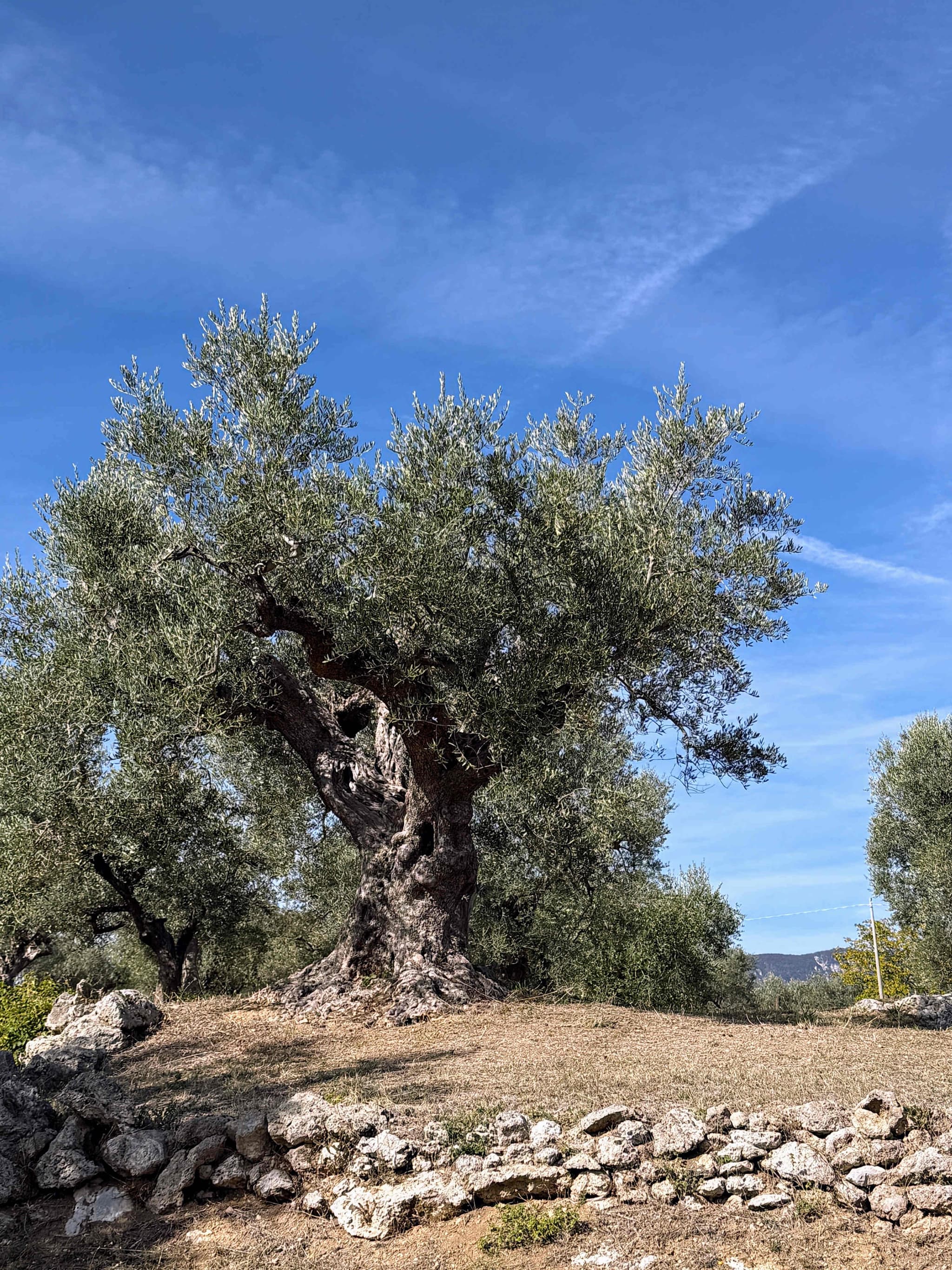 Casale Vecchio - Image 34